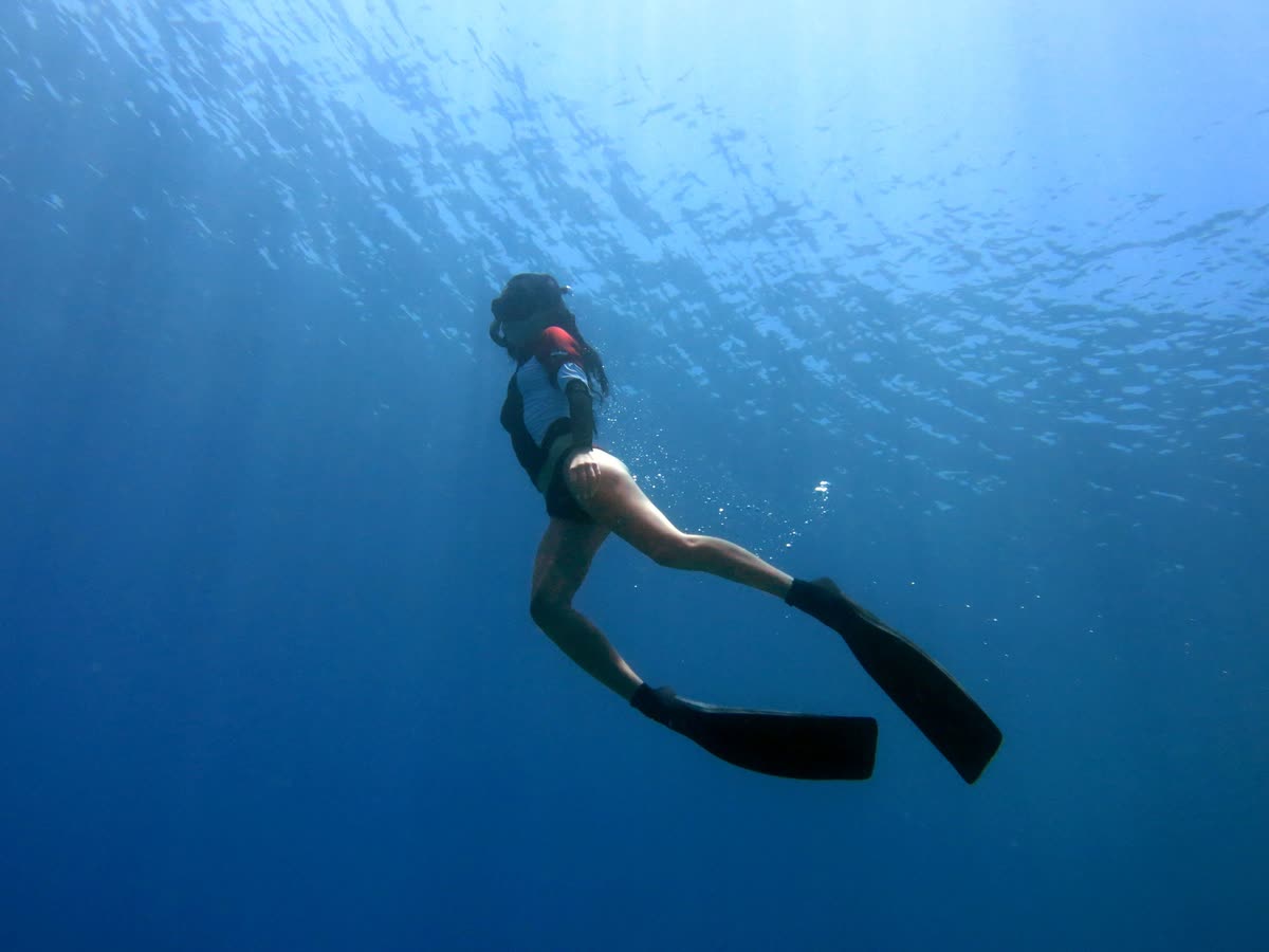 ウェットスーツとロングフィンで青い海を漂うフリーダイバー